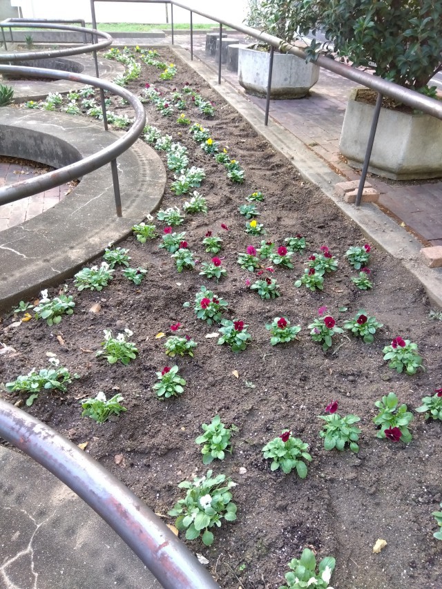 ボランティア活動